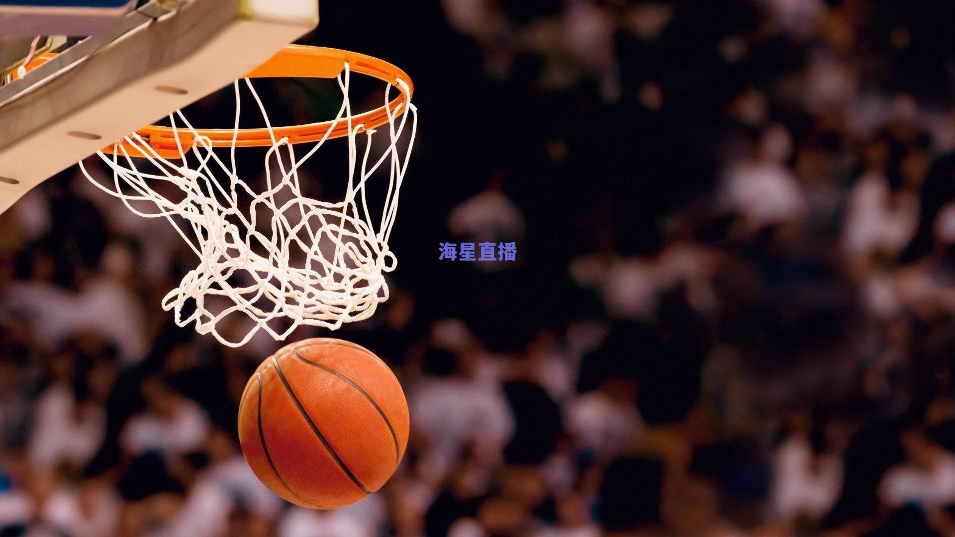 中国击剑俱乐部联赛十周年,梦想与汗水铸就的成长之路